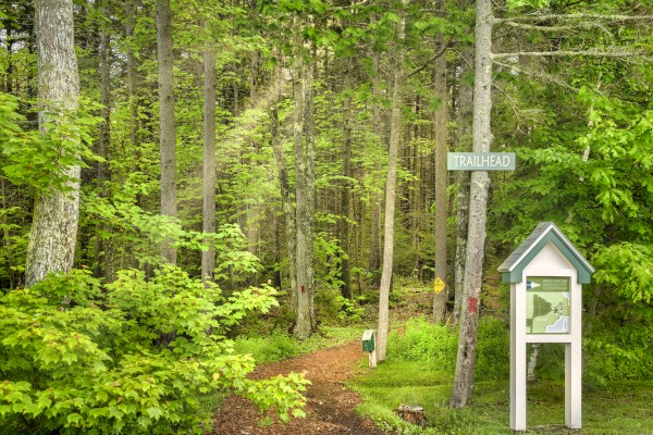A trailhead sign and a trail map stand at the entrance to a forest path, surrounded by tall trees and lush greenery.