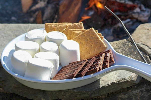 A plate with marshmallows, graham crackers, and chocolate near a campfire, ready for making s'mores, with a stick lying next to the plate.