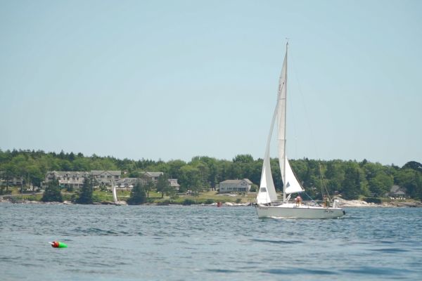 A sailboat is on a calm body of water near a tree-lined shore with buildings in the background. A buoy floats in the foreground.