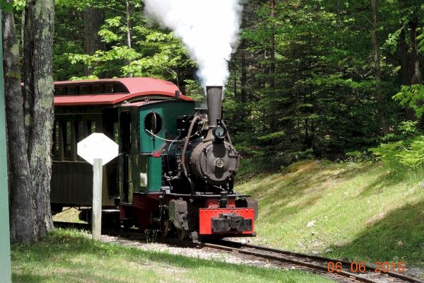 The image depicts a steam locomotive emitting smoke, traveling through a forested area on a sunny day, dated 06-06-2015.