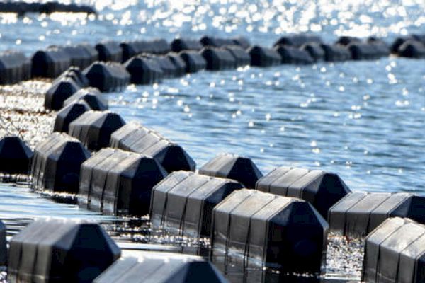The image shows a series of interlocking floating barriers on a body of water under bright sunlight.