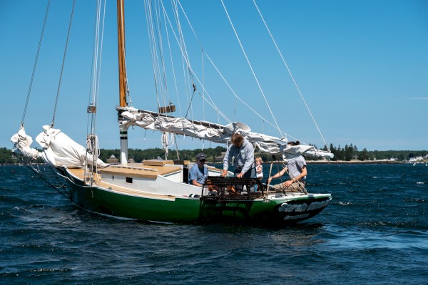 A group of people is on a sailboat on the water, with one person handling a lobster trap on the boat.