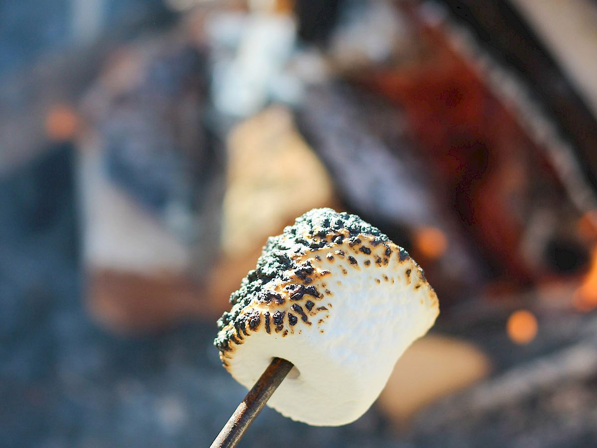 A toasted marshmallow on a stick is held near a campfire, with flames and logs visible in the background.