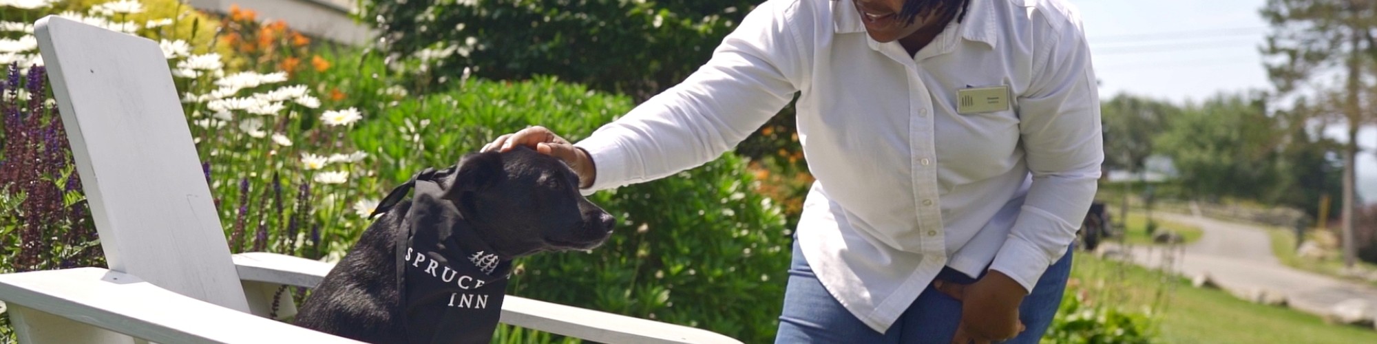 A person is petting a seated black dog while smiling outdoors in a garden setting with greenery and flowers in the background.