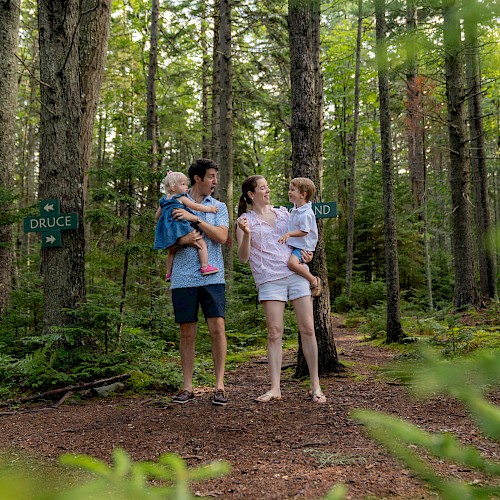 A family of four is walking in a forest, with the parents holding their children and signposts on the trees in the background.