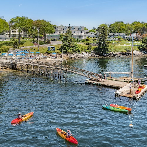 People kayaking near a wooden dock with sailboats, against a backdrop of houses and trees on the shore, under a clear blue sky.